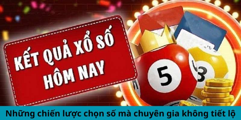 Những chiến lược chọn số mà chuyên gia không tiết lộ